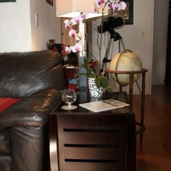 New Dog/Cat Furniture Bed Crate, Pet End Table