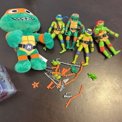 turtles