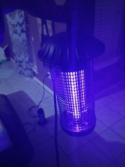 I have a Jose cuervo light and a bug zapper