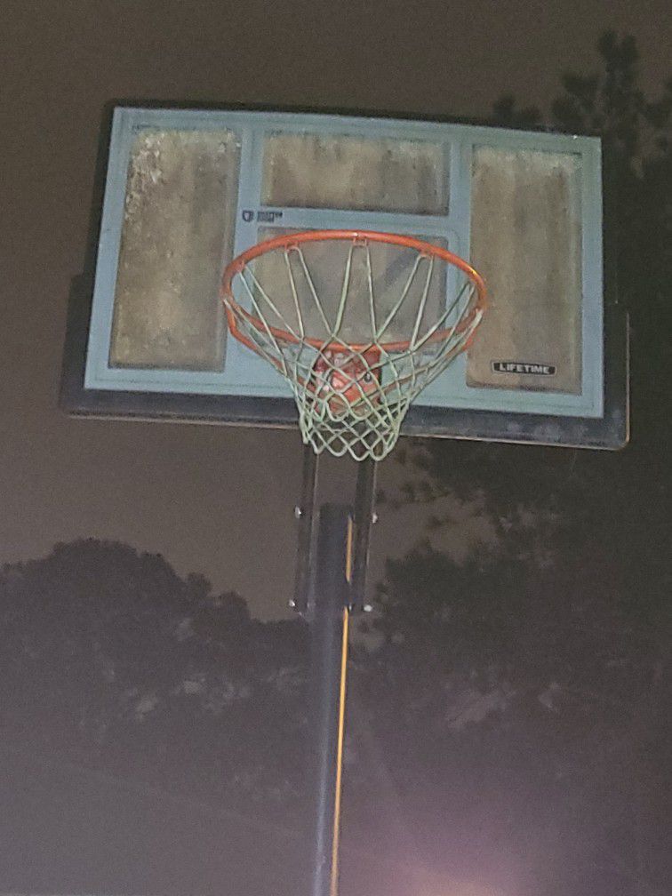 Lifetime 50" Adjustable Portable Basketball Hoop