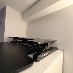 FlexiSpot Standing Desk