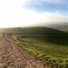 Hill