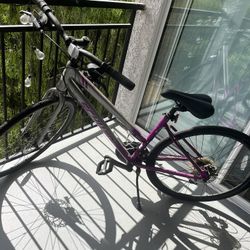 Schwinn Women’s Hybrid Bike