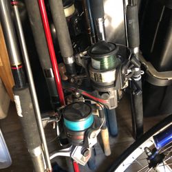 Around 10 fishing poles