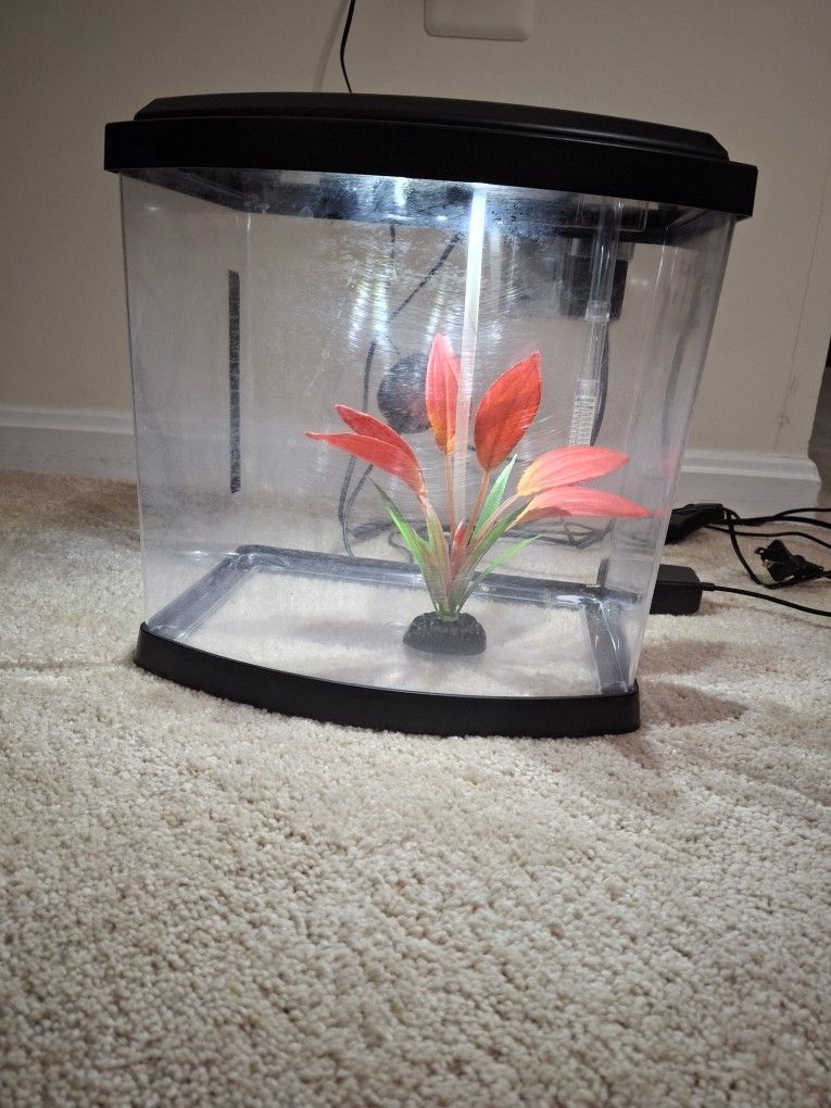 2 Gallon Aquarium Kit