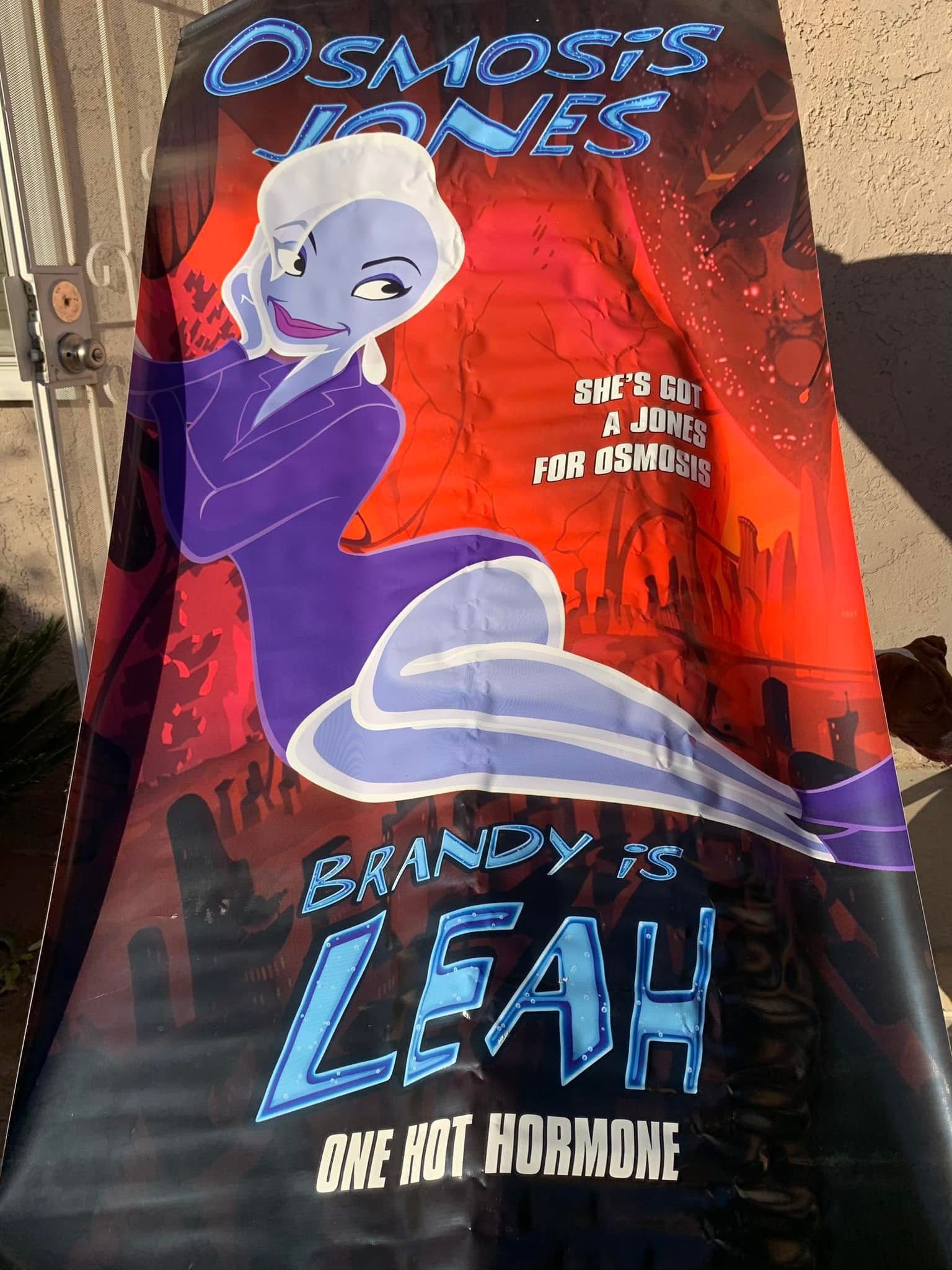 Vinyl Movie Poster Banner