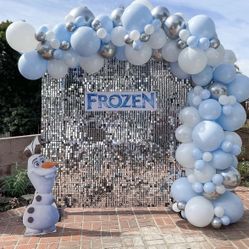 Balloon Arch