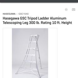 Hasegawa Ladder 