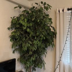 Artificial Corner Plant 