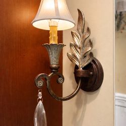 4 Shandy 5-in W 1-Light New Tortoise Shell W/Silver Wall Sconce