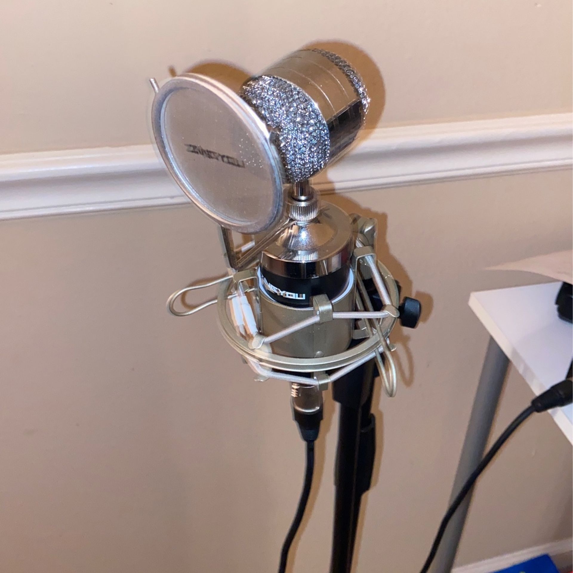 Studio Mic/Stands And Chords