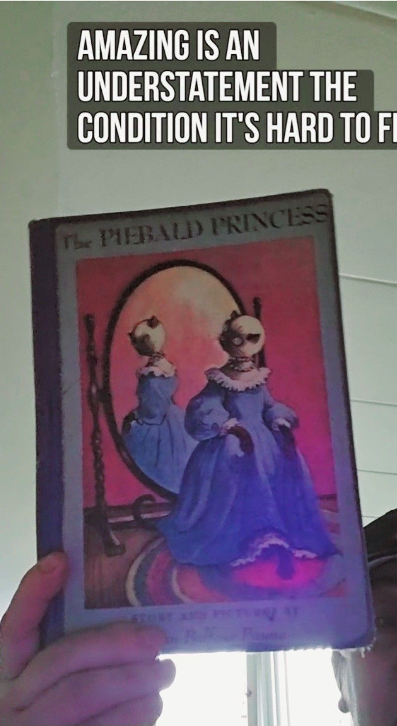 Antique book the piebald princess.