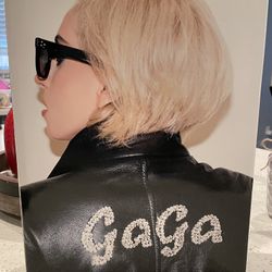 Lady Gaga/Terry Richardson Photo Book
