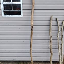 Walking Stick Wood