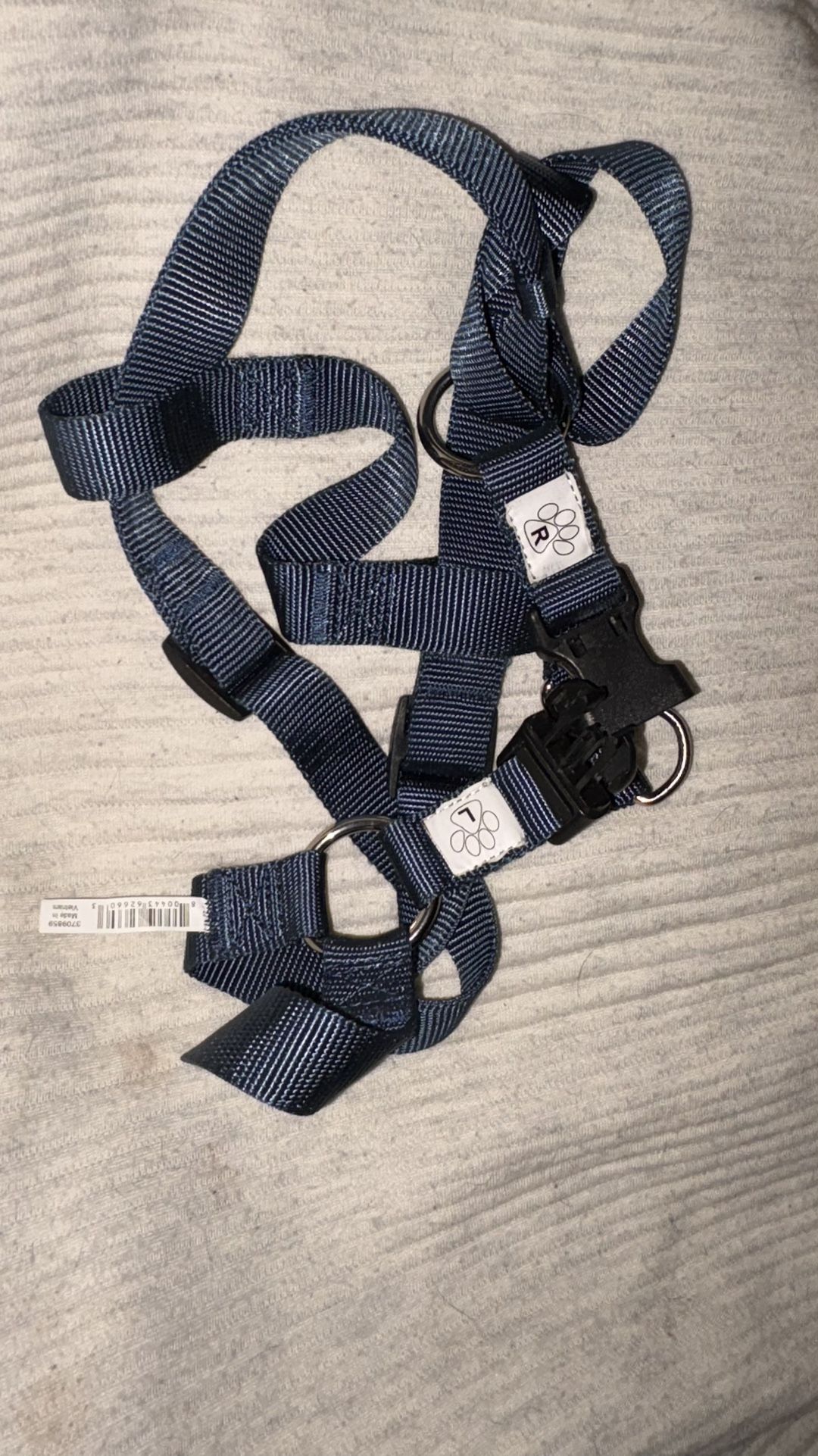 Blue Dog Collar & Leash