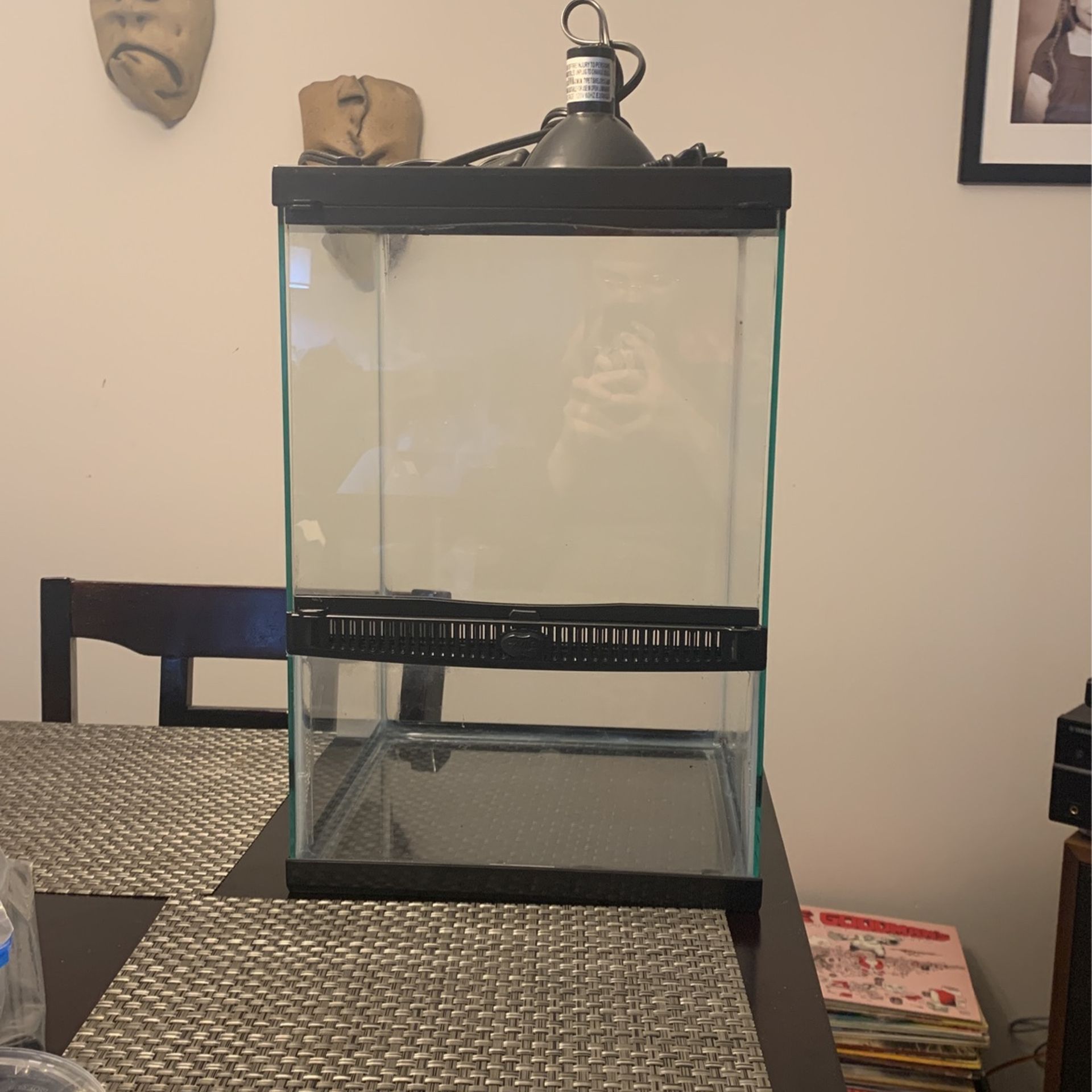 Zilla Terrarium