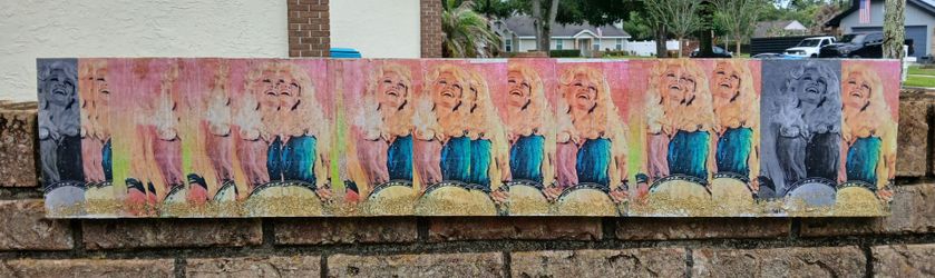 Original Dolly Parton Mixed Media Artwork 38" x 7" *50.00 Firm* Home Decor Artwork