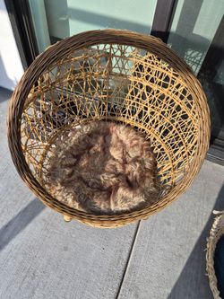 Cat bed