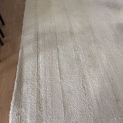 pottery barn rug NOT FREE