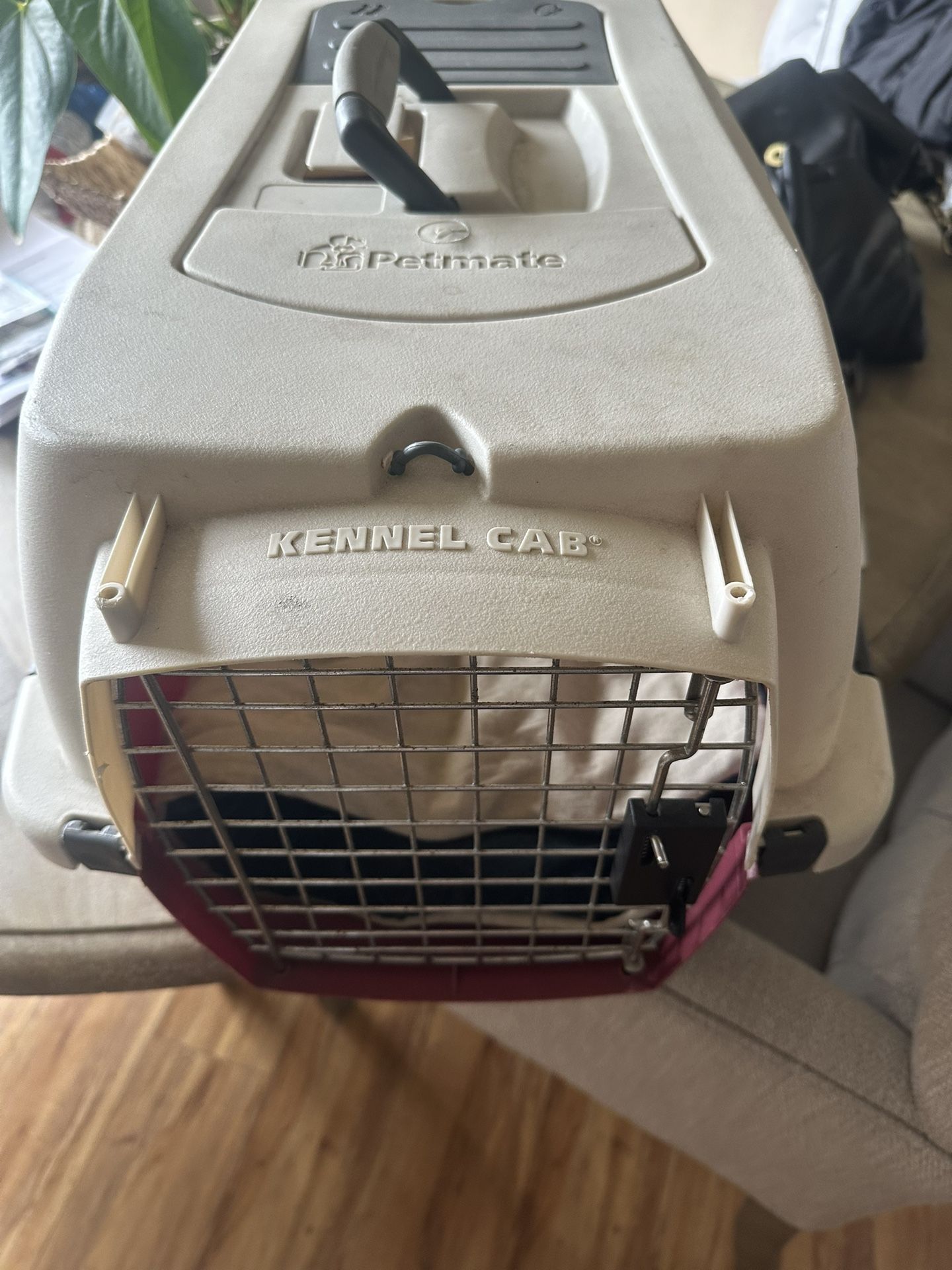 Pet Carrier