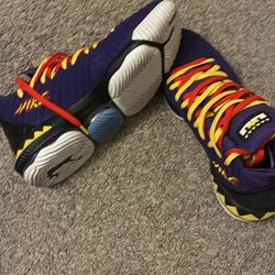 LeBron 16 Martin size 12
