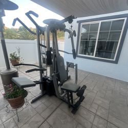 Gold Gym Equipment 