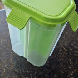 Large 4 Divider Containers 
