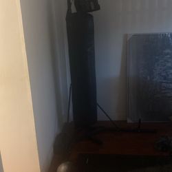 Punching bag with stand and gloves