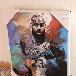 Lebron James Canvas Painting $20