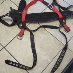 Safety Harness 