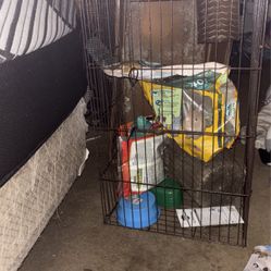 Guinea Pig Cage 