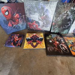 Bunch Spider-Man Canvas- 11 Total