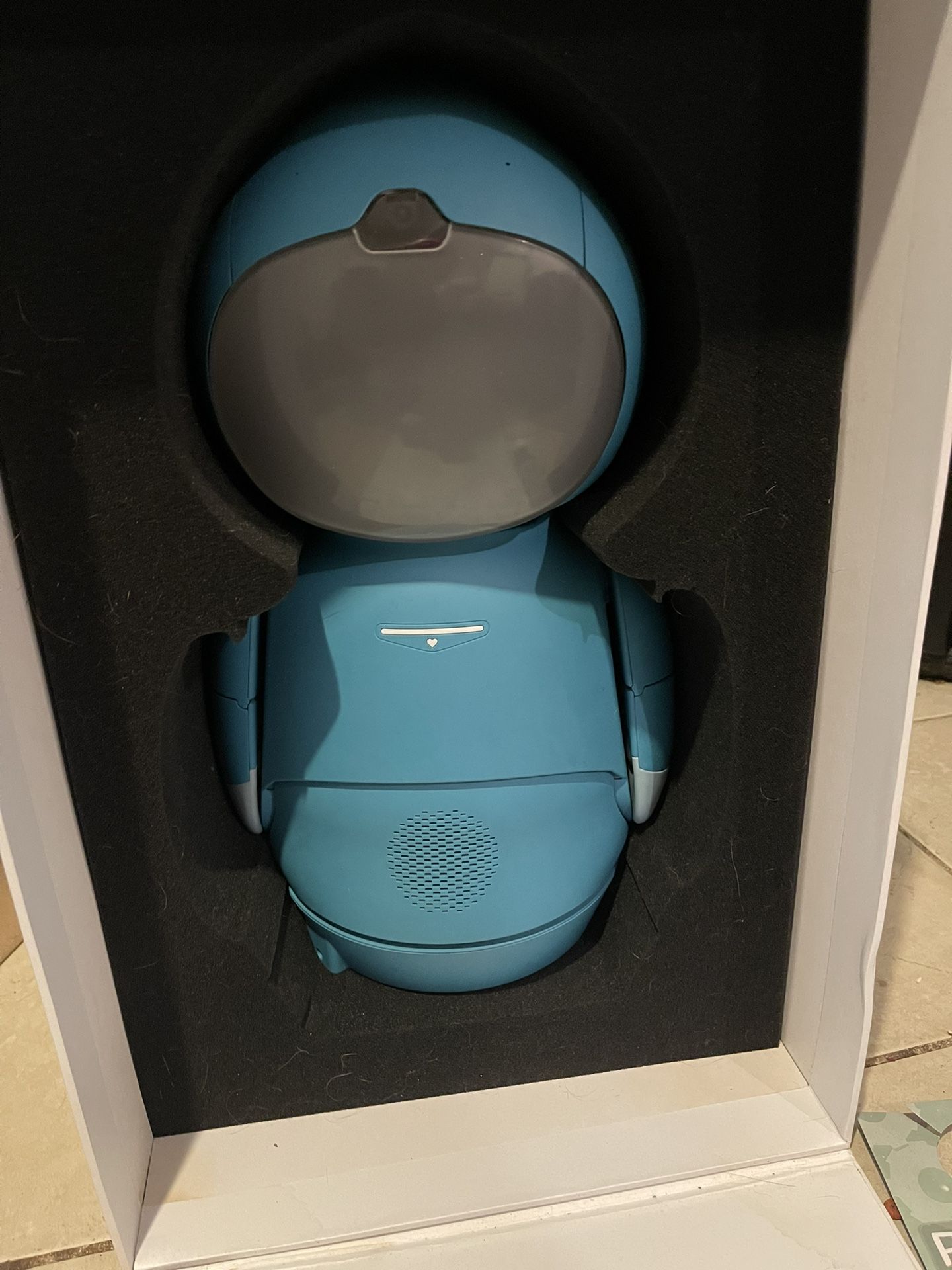 Moxie Robot Educational AI