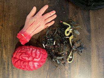 Halloween Decorations