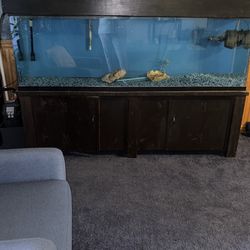 Aquarium