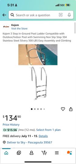 Inground Pool Ladder 