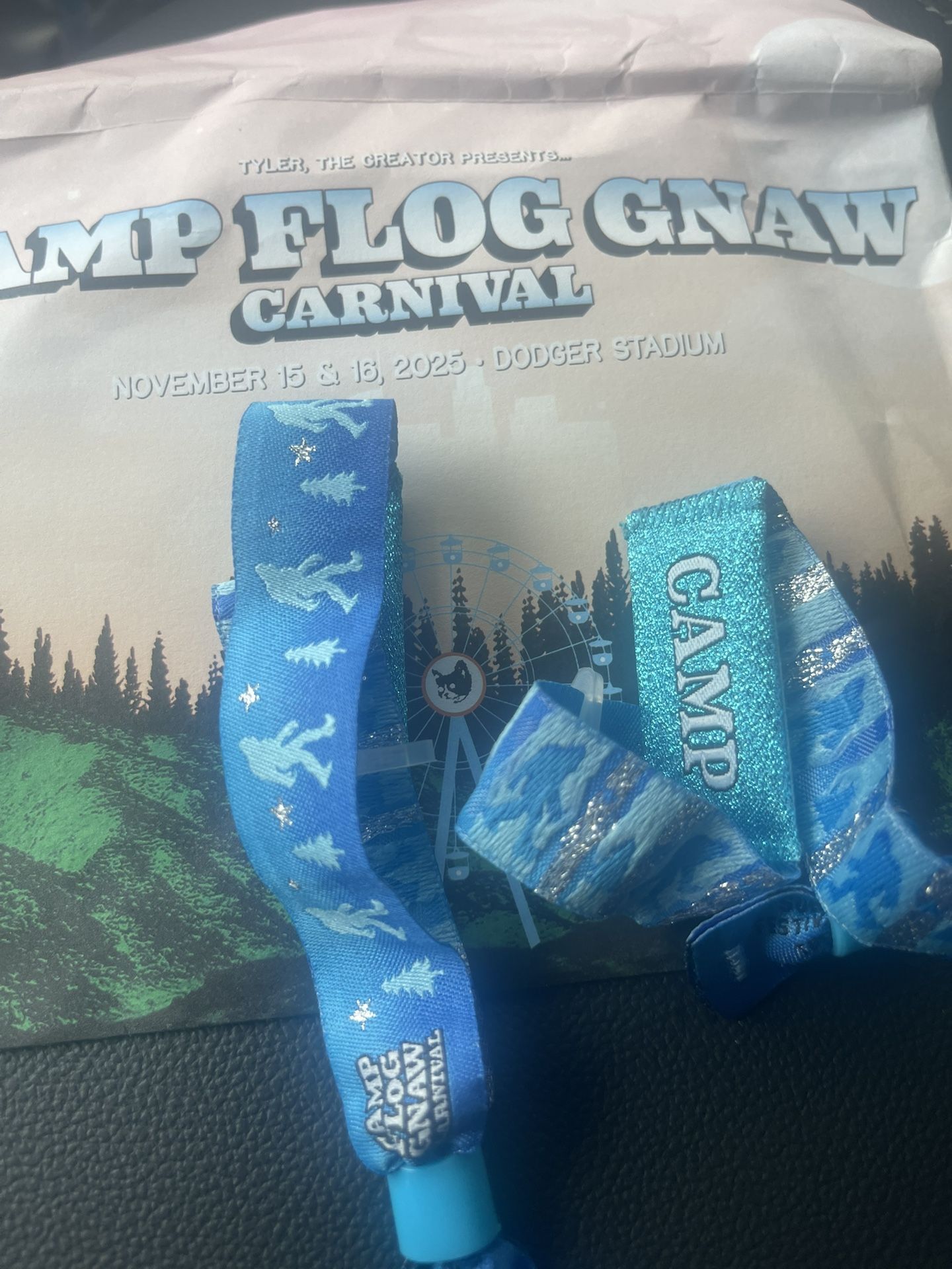 CAMP FLOG GNAW TICKETS/WRIST BANDS 2025