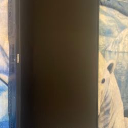 40” Toshiba Flat Screen TV (Chromecast)