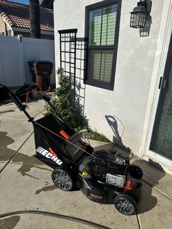 Gas lawn mower echo