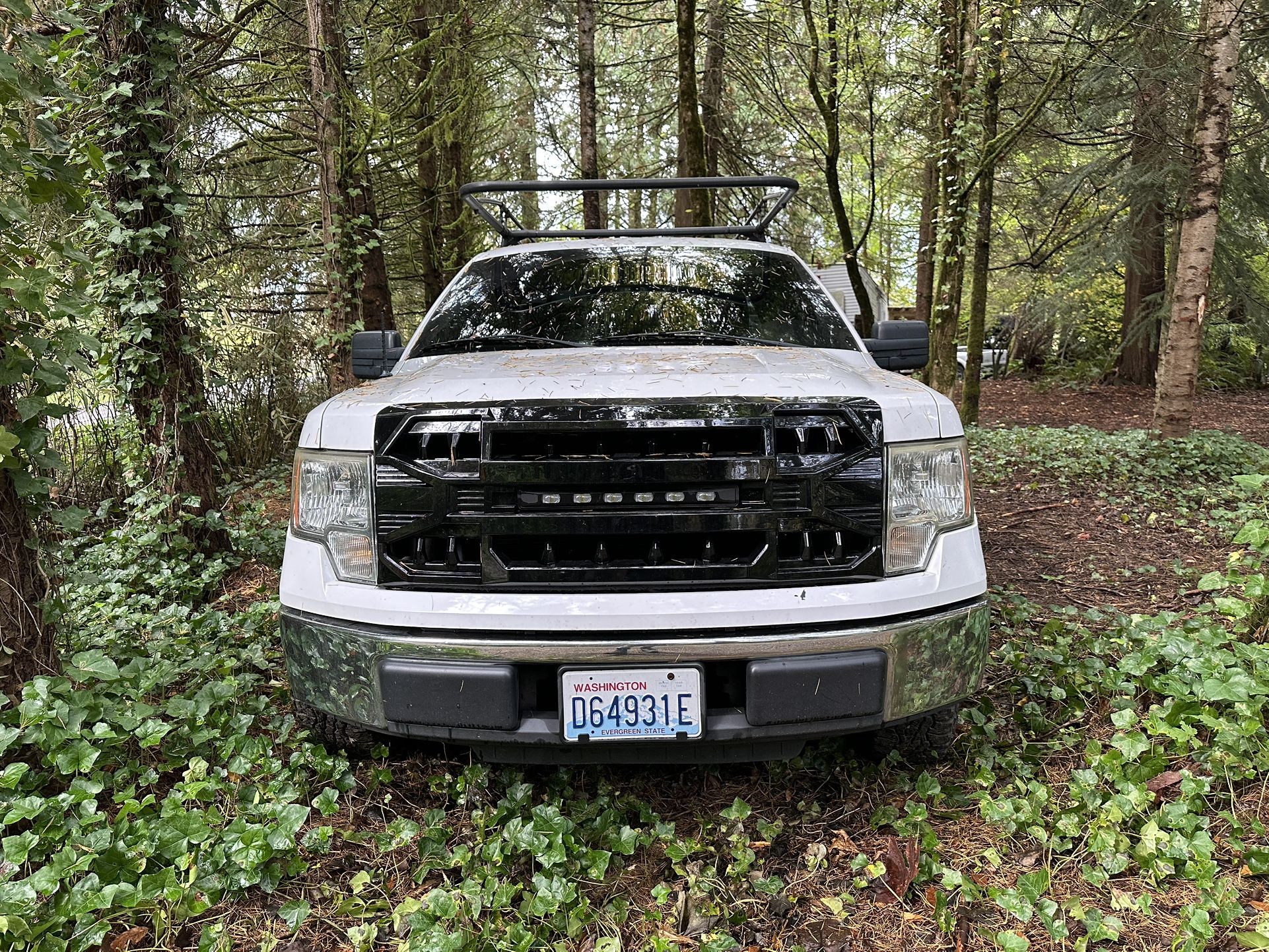 2010 Ford F-150