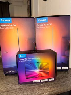 Govee floor lamp and tv back light