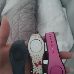 Disney Theme Park  Magic Bands