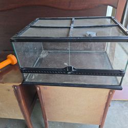 Exo Terra Enclosure And Lights