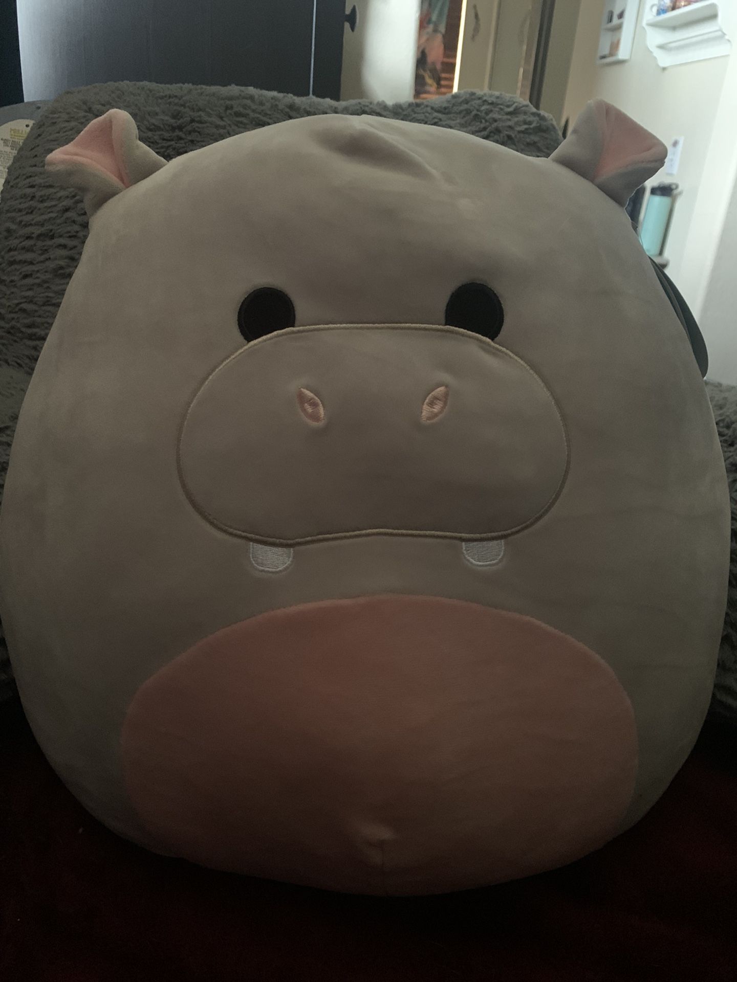 Harrison Squishmallow