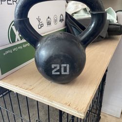 20 Lb Kettlebell 