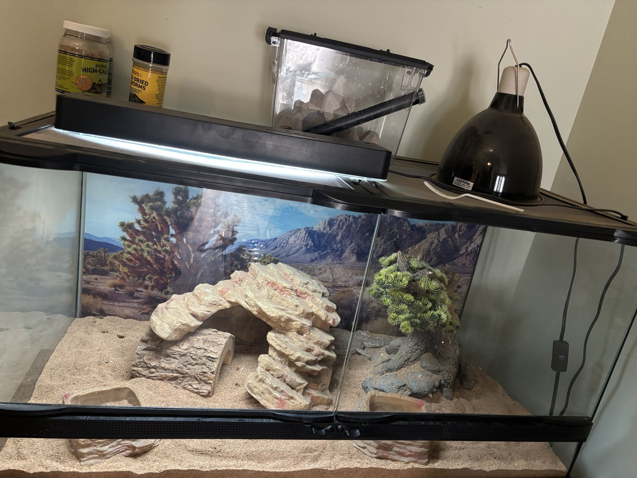 Lizard Tank.