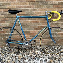 Vintage Schwinn Road Bike (as Big As They Get) 69cm (XXL) 