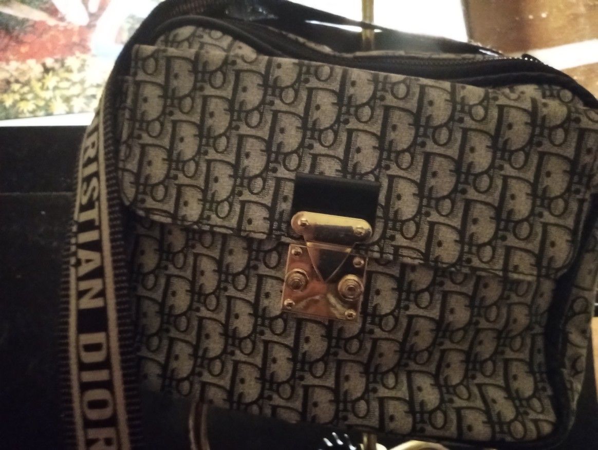 Black& Eggshell Color Christian Dior Bag