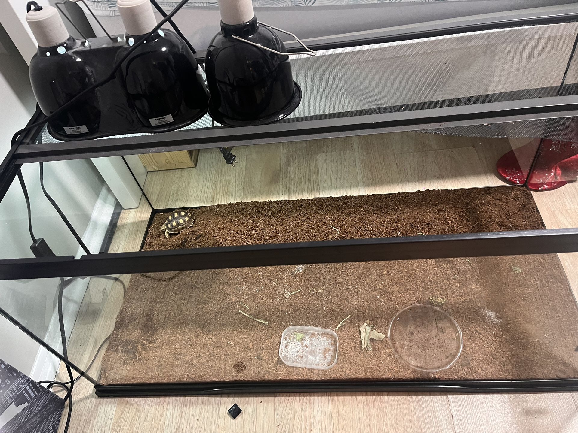 Tortoise Tank *** Need Gone***