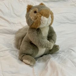 12” Vintage 1992 Ranger Rick Plush Squirrel - Like New